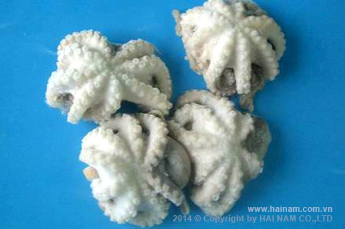 Double skin octopus whole cleaned, flower shaped<br />Latin name: Octopus vulgaris<br />Size: 10-30, 20-40, 40-60 pcs/kg